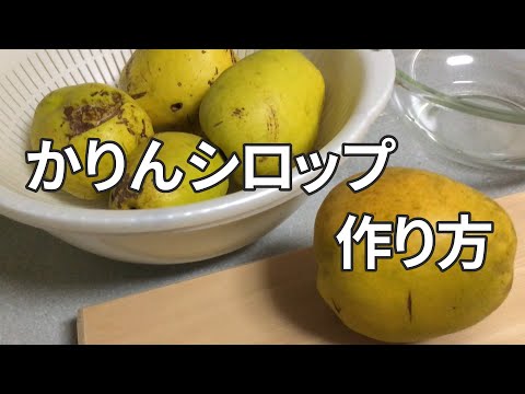 オニオンジュースを作る:咳止めシロップを自分で作る方法です 植物