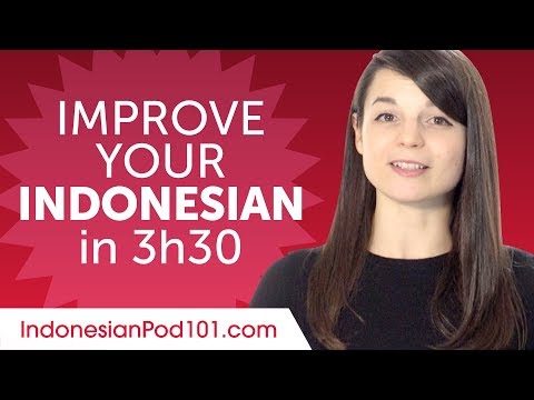 Indonesian Comprehension Practice to Improve Your Skills in 3 Hours 30 Minutes