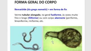 FITOPATOLOGIA II - NEMATOIDES FITOPATOGÊNICOS - CARACTERISTICAS GERAIS