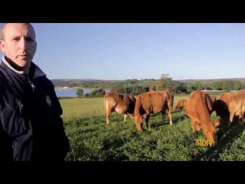 download lagu mp3 mp4 Organic Meat Uk, download lagu Organic Meat Uk gratis, unduh video klip Organic Meat Uk