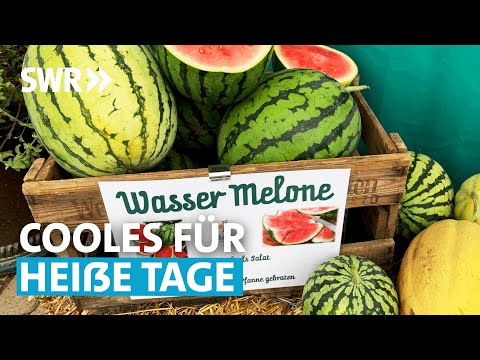 Essen im Sommer – Ideen und Rezepte mit Eis, Melone, Gurke & Co. | SWR Treffpunkt