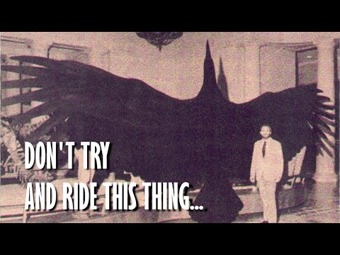 Argentavis | The largest flying bird to ever exist...