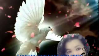 Looking for love and friendship around the world