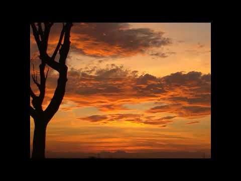 Cultivo de nuevos hábitos