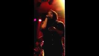 Stephen Marley Seattle Live Thorn or a Rose Seattle Fruit or life 2014  concert