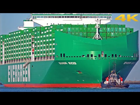 🛳️ NEW BIG CONTAINER SHIP "EVER ECO" FIRST ARRIVAL AT ROTTERDAM PORT ⚓️ - 4K SHIPSPOTTING 2025