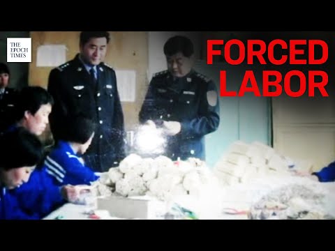 ‘You Work Like Animals’ Inside China’s Vast Prison Labor System | CCP | Human Rights | Epoch News