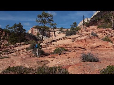 Zion National Park 2015: Day 5