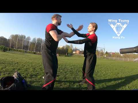 Wing Tsung Vantaa kesätreenit Heurekan puistossa