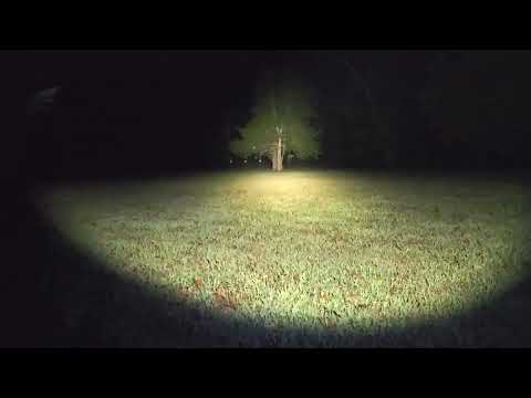 Modlite Amp vs PLHV2 vs HLX