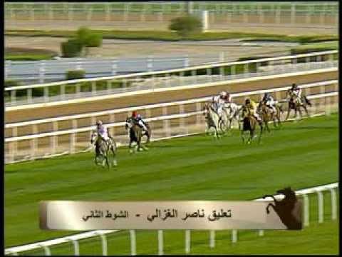 Fegentri Ladies arab race in Doha (Qatar), February 25th, 2010