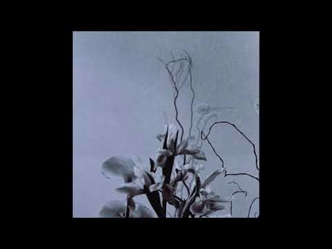 37. Arthrn - Smö [25.09.2017]