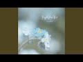 Forget Me Not