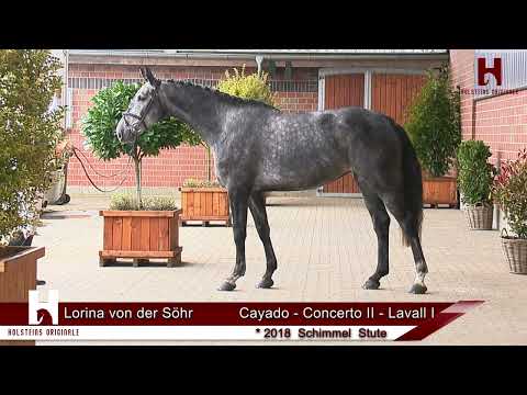 Katalog Nr. 13 - LORINA VON DER SÖHR