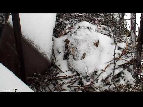 Time lapse of Big Red During a Snowstorm, April 18, 2018