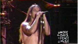 Red hot chili peppers  Warped 94