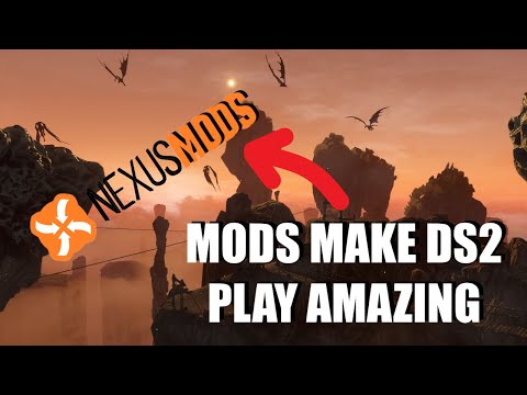 These Mods Make the DEFINITIVE Version of Dark Souls 2