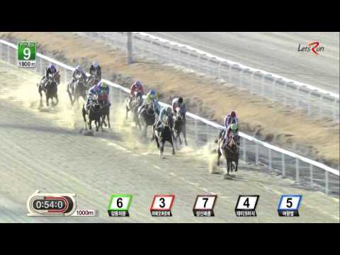 Noble Giant - Joe Fujii (Feb 13, 2015)