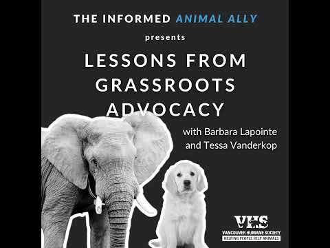 Lessons from grassroots animal advocacy