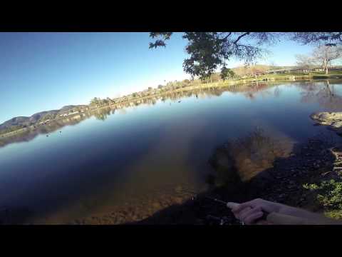 GoPro: Matthew Bray - California 4.05.2015 - Fish