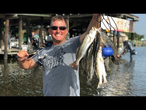 download lagu mp3 mp4 Speckled Trout Vs Rainbow Trout, download lagu Speckled Trout Vs Rainbow Trout gratis, unduh video klip Speckled Trout Vs Rainbow Trout