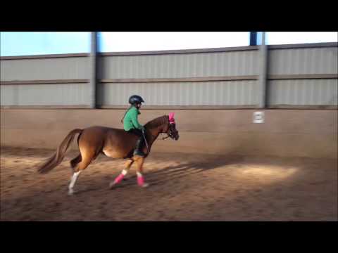 Malu (6) und Senna galoppieren ohne Sattel am 30.09.2015