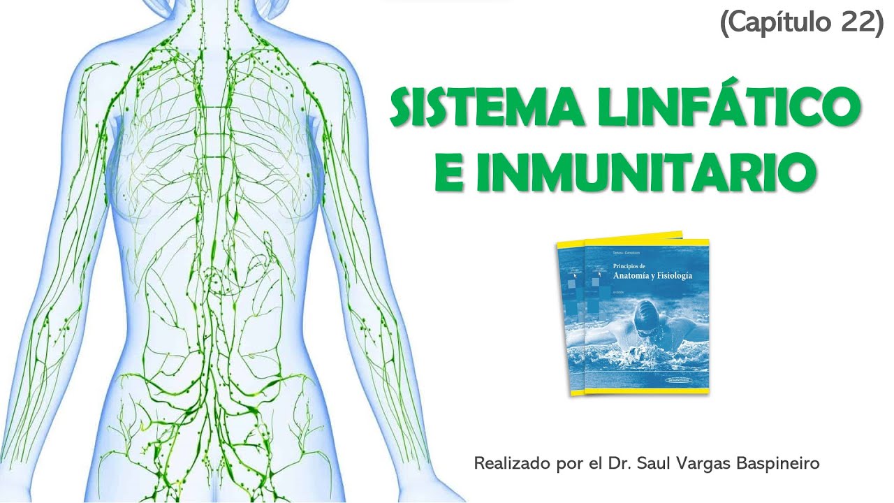 Inmunidad Adaptativa - Cap. 22 Sistema Linfático (Tortora)