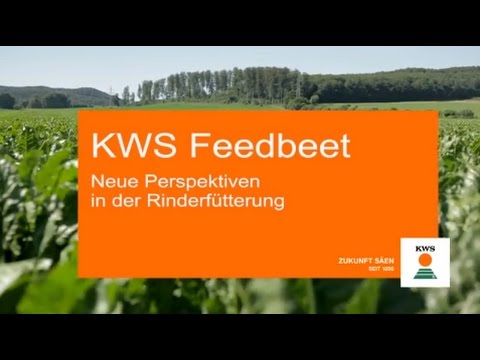 KWS Feedbeet:  Neue Perspektiven in der Fütterung
