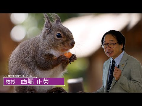 広島大学生物生産学部　教授に聞く　西堀 正英教授