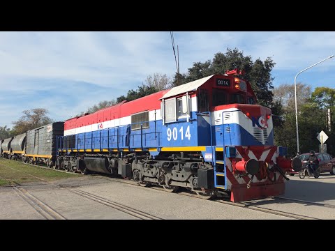 [8K] Tren de tolvas graneras de NCA con destino a General Deheza pasando por Marcos Juárez!!!!!!