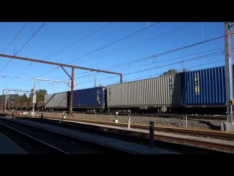 5NY3 - 5 locos - 10/7/14