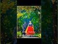 Aaj Se Jaaneman Dil Hai Tumhara WhatsApp Status Video