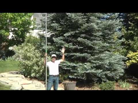 Pro Tip - How to Properly Swag a Large Tree