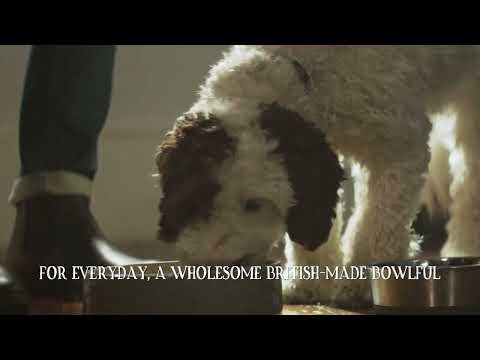 For everyday, a wholesome British-Made bowlful from Butcher’s Nourishing Food for Dogs 🐶🐾