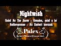 Nightwish Quiet As The Snow Anthropocene Video By Palex