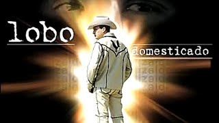 Las Mentiras De Una Pulga/ Valentín Elizalde, 2006