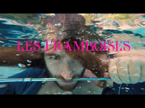 Komet City & Augustin von Arx : Les Framboises (feat. Jack Joseph Love Levier)