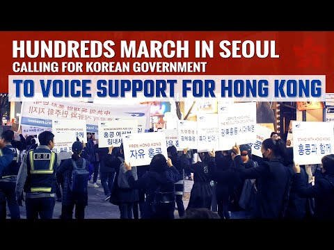 Hundreds March in Seoul Calling for Korean Government to Voice Support for Hong Kong