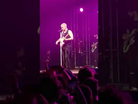 Wild Youth -  Close To You - Sea Sessions 2019