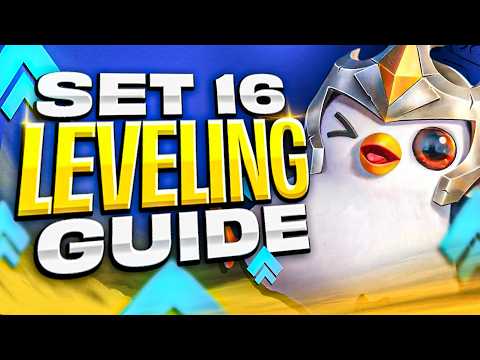 How to Level & Econ in Set 16 | TFT - Teamfight Tactics | BunnyMuffins