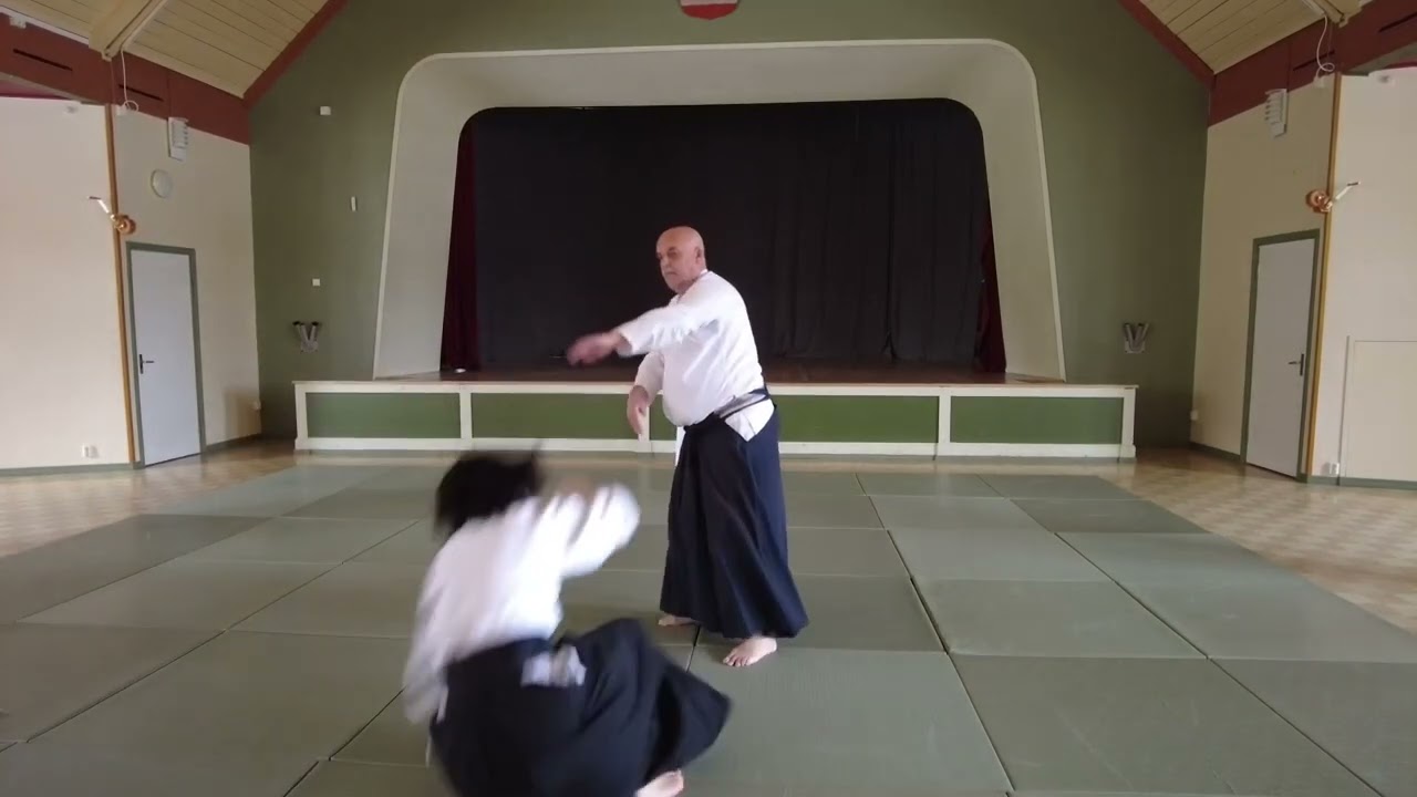 Tsuzukiwasa 17