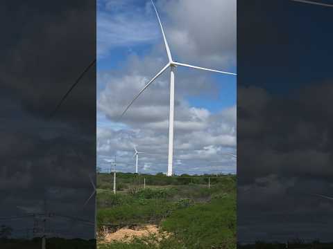Complexo eólico Serra da Palmeira - Picuí - Paraíba. #picuí #paraíba #nordeste #natureza #viral