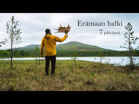 7 Days Camping in a Wilderness - Found a HUGE Moose Antler