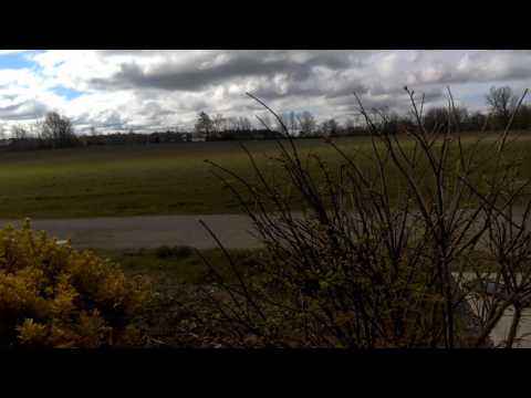 Psalm 25 (1599 Geneva Bible)