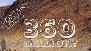 Thorns – post-Fall or millions of years old?