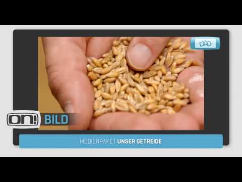 Unser Getreide (Schulfilm-Vorschau)