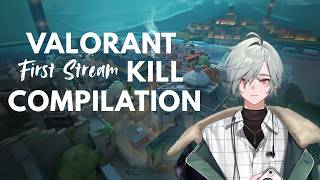 【VALORANT】Rayon Valorant Kill Compilation #1【にじさんじ切り抜き/レヨン】