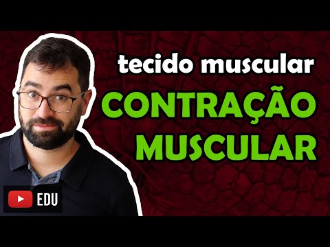 Physiology of Muscle Contraction - Class 15 - Module VII: Human Histology and Physiology | Prof. Gui