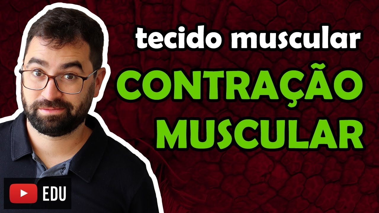 Fisiologia da Contração Muscular - Aula 15 - Módulo VII: Histologia e Fisiologia Humana | Prof. Gui