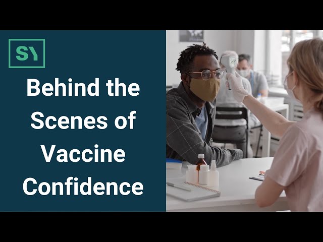 Syntasa product / service